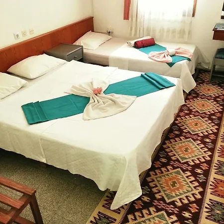 Parmis Homestay