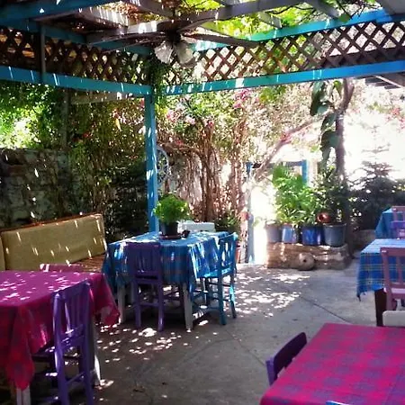 Parmis Cesme