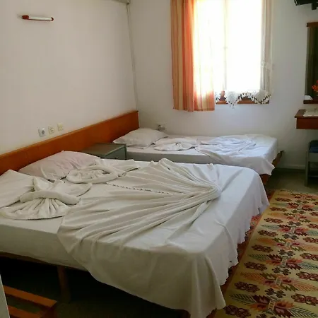 Parmis Homestay