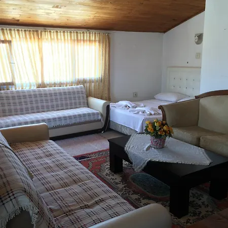 Parmis Homestay