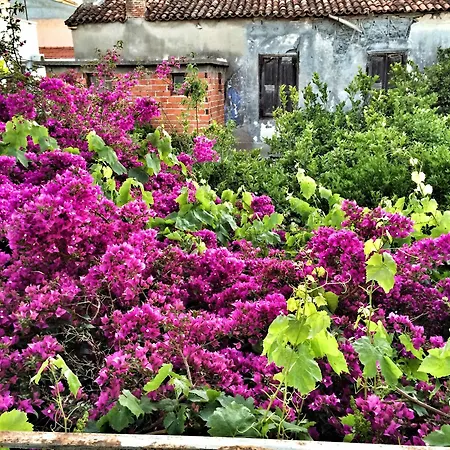 Parmis Homestay