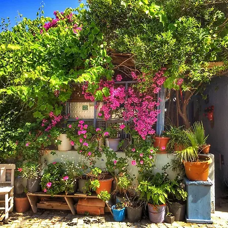 Parmis * Cesme
